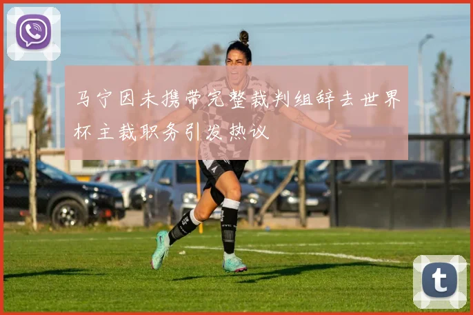 马宁因未携带完整裁判组辞去世界杯主裁职务引发热议